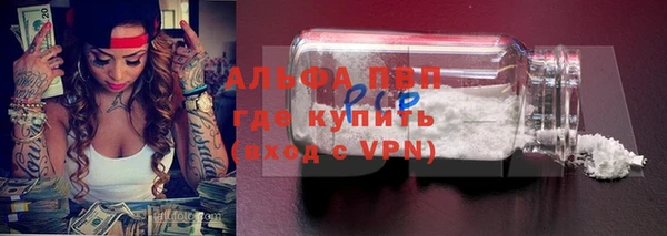 индика Беломорск