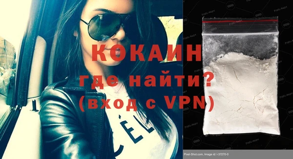 индика Беломорск