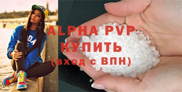 индика Беломорск