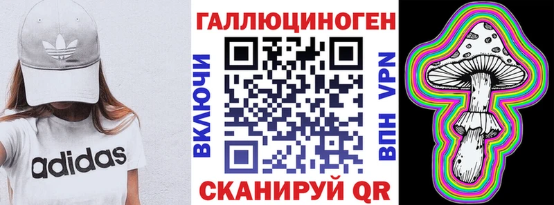 Галлюциногенные грибы Cubensis  Красный Кут 
